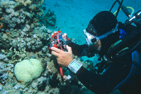 A diver using a compact digital camera